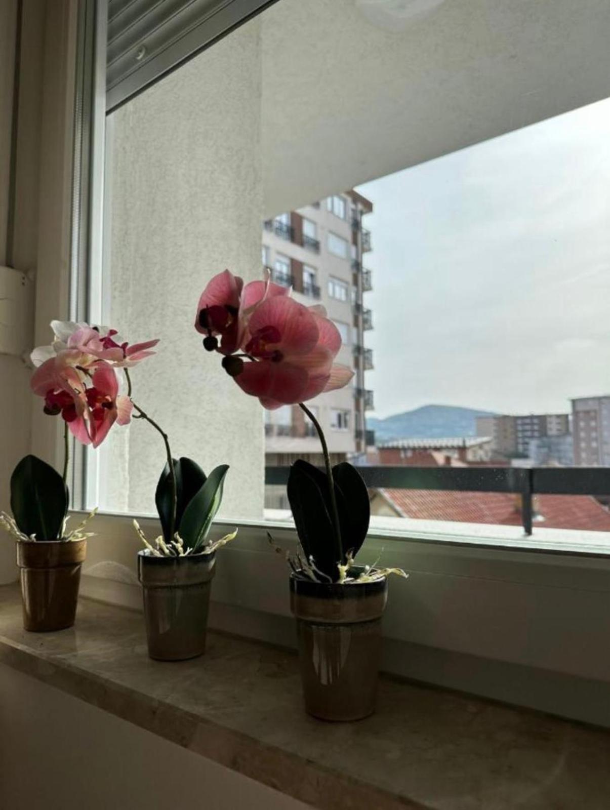 Apartmani Imperial Νόβι Πάζαρ Εξωτερικό φωτογραφία